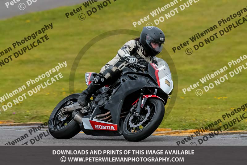 PJ Motorsport 2019;anglesey no limits trackday;anglesey photographs;anglesey trackday photographs;enduro digital images;event digital images;eventdigitalimages;no limits trackdays;peter wileman photography;racing digital images;trac mon;trackday digital images;trackday photos;ty croes